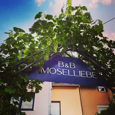Apartment 2 Pers 1 Schlafzimmer Und Wohnzimmer Mit Balkon Und Blick Auf Mosel