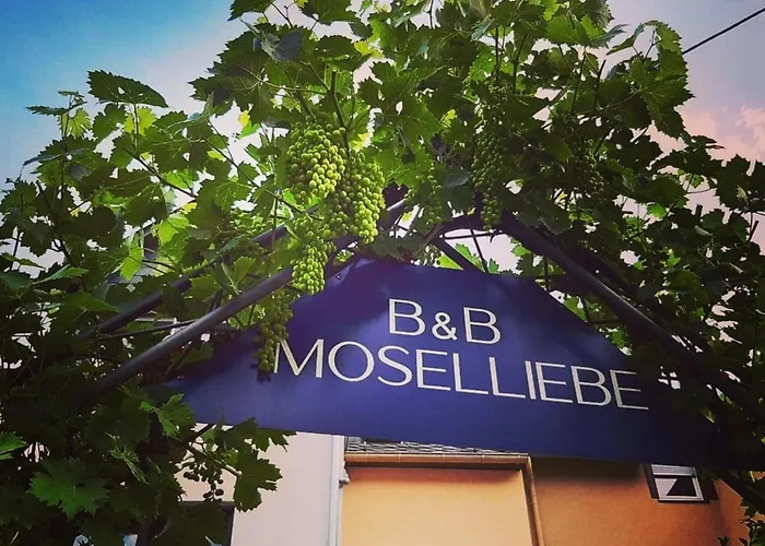 Apartamento 2 Pers 1 Schlafzimmer Und Wohnzimmer Mit Balkon Und Blick Auf Mosel